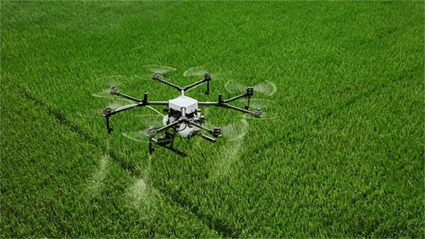 植保無人飛機施藥防控小麥穗期病蟲害指導意見