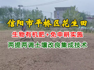 信陽市平橋區花生田使用潤博盛生物有機肥