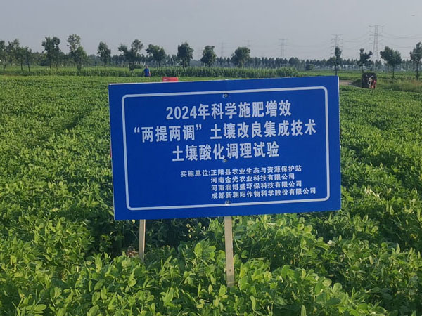 2024年科學施肥增效“兩提兩調”土壤改良集成技術土壤酸化調理試驗