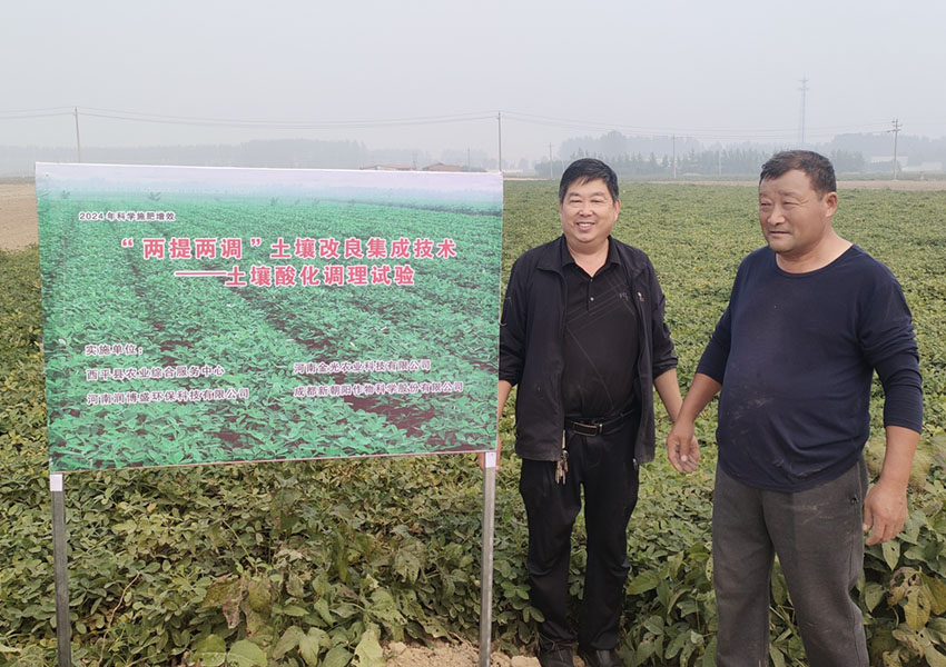 2024年10月8日西平縣花生兩提兩調試驗田測產取土